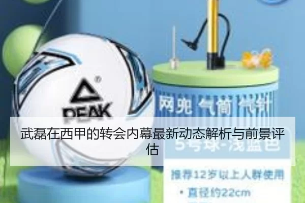 武磊在西甲的转会内幕最新动态解析与前景评估