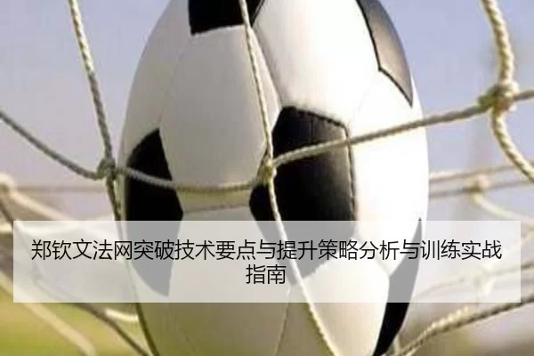 郑钦文法网突破技术要点与提升策略分析与训练实战指南